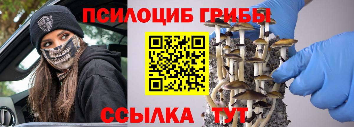 Галлюциногенные грибы Cubensis Хасавюрт